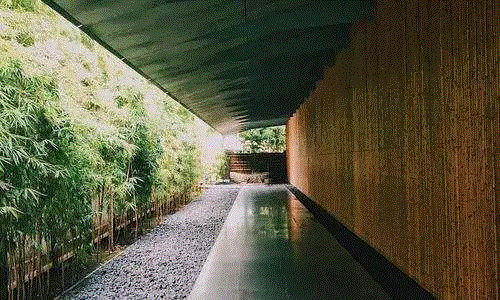 走进美术馆，赏岁寒三友,美术馆,地点,梅花,岁寒,根津美术馆,极简,隈研吾,松美术馆,松树,建筑