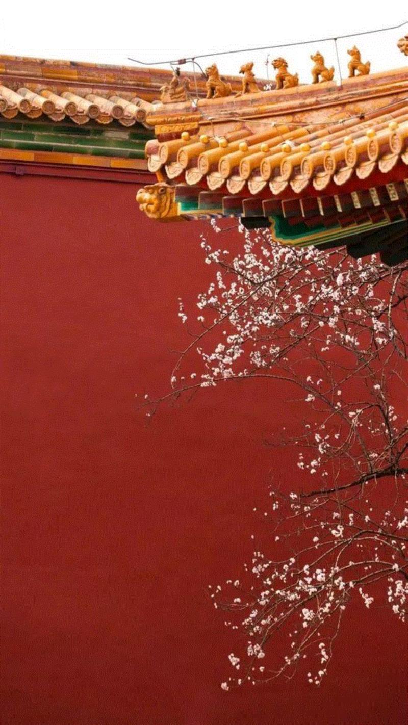 走进美术馆，赏岁寒三友,美术馆,地点,梅花,岁寒,根津美术馆,极简,隈研吾,松美术馆,松树,建筑