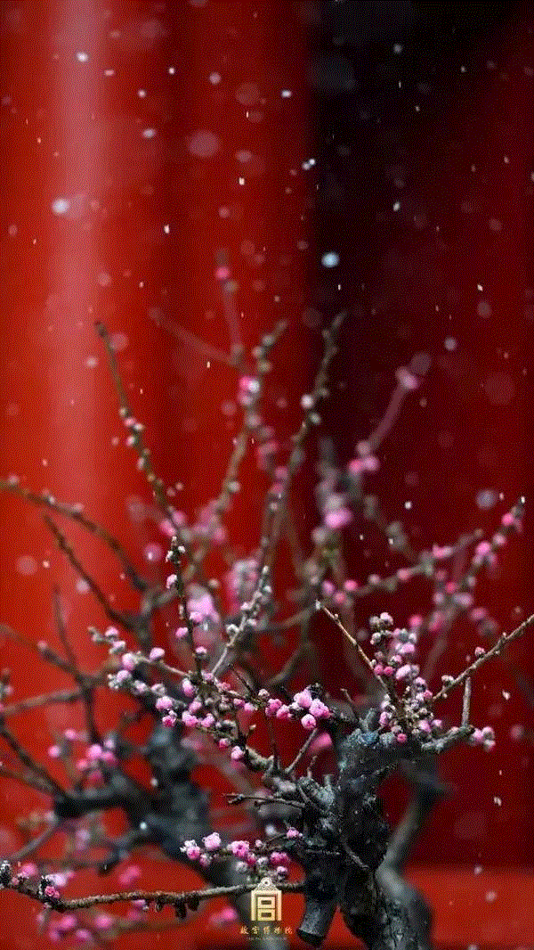 走进美术馆，赏岁寒三友,美术馆,地点,梅花,岁寒,根津美术馆,极简,隈研吾,松美术馆,松树,建筑