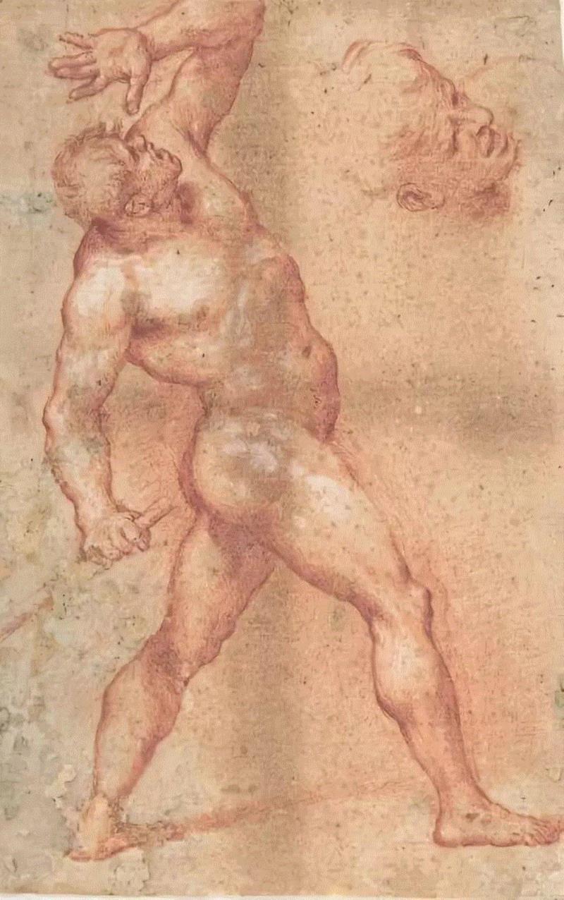 阿尼罗·法尔科內《Male Nude with Left Arm Upraised，and a Fu