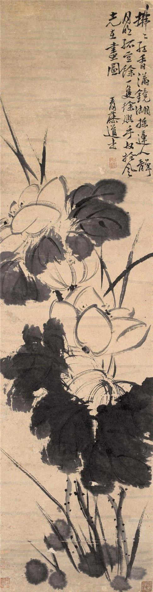 徐渭《墨荷》立轴,他曲折的人生落于纸上，亦如见字如面，画如其人,花鸟画,写意,陈淳,徐渭,水墨,书法,胡宗宪,整理\乔一