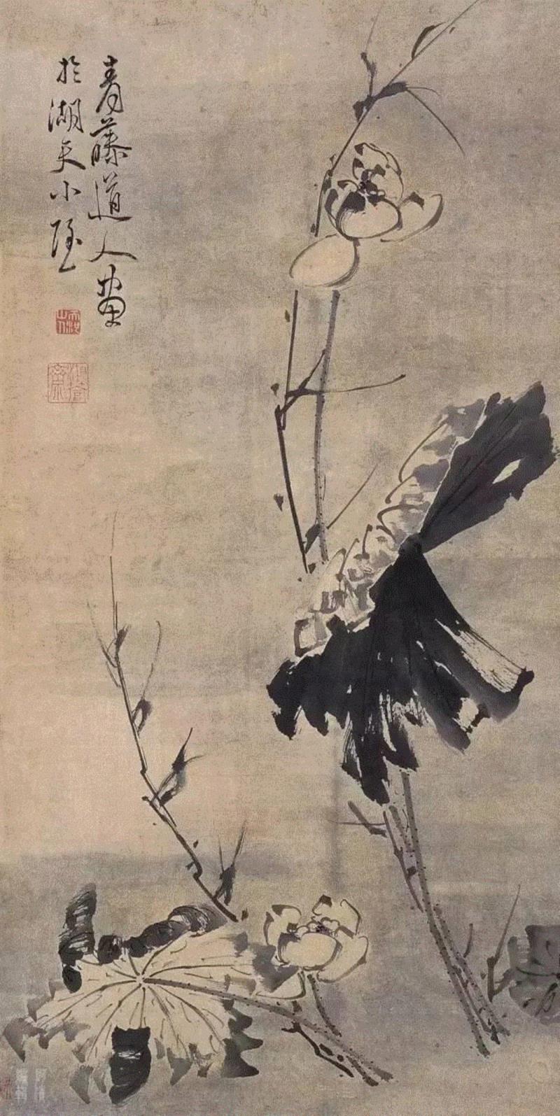 徐渭《墨荷》立轴,他曲折的人生落于纸上，亦如见字如面，画如其人,花鸟画,写意,陈淳,徐渭,水墨,书法,胡宗宪,整理\乔一