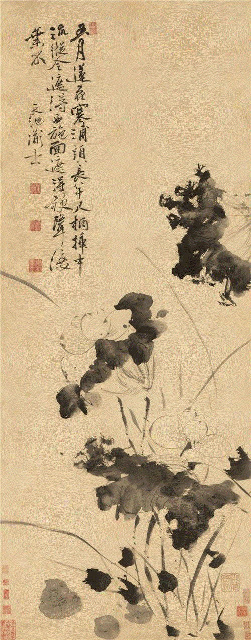 徐渭《墨荷》立轴,他曲折的人生落于纸上，亦如见字如面，画如其人,花鸟画,写意,陈淳,徐渭,水墨,书法,胡宗宪,整理\乔一