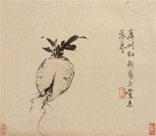 他曲折的人生落于纸上，亦如见字如面，画如其人,花鸟画,写意,陈淳,徐渭,水墨,书法,胡宗宪,整理\乔一