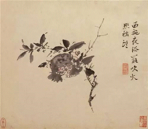 他曲折的人生落于纸上，亦如见字如面，画如其人,花鸟画,写意,陈淳,徐渭,水墨,书法,胡宗宪,整理\乔一