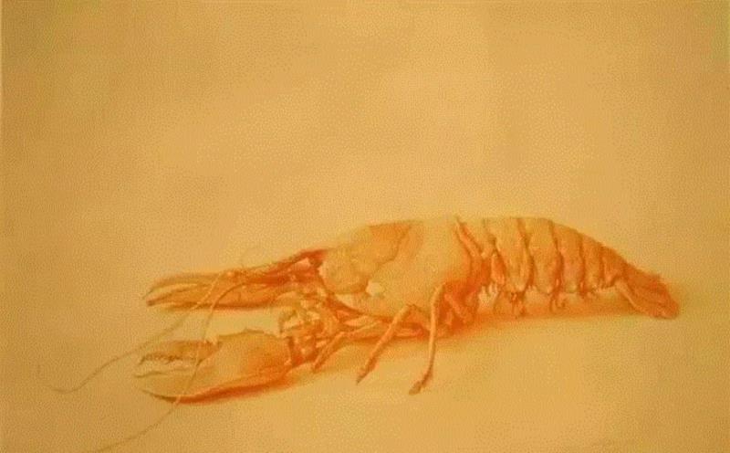 极致细腻的素描 |  Claudio Bravo ????,素描,Bravo,工作室,克劳迪奥,学院派,芭蕾舞,小编,现实主义,上方,布雷沃