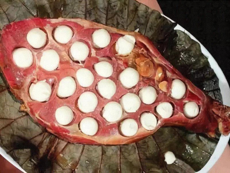 △二十四桥明月夜,人物 ▎逗乐万千网友的他，靠吃喝玩乐成为活得最明白的中国人,人物,蔡澜,电影,美食,才子,金庸,香港,火腿,豆腐,餐厅