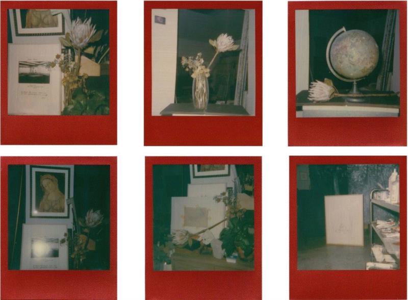 国家美术·封面丨罗荃木——喧嚣与静默,罗荃木,封面,油画,工作室,记忆,标本,藏品,版画,画室,材料