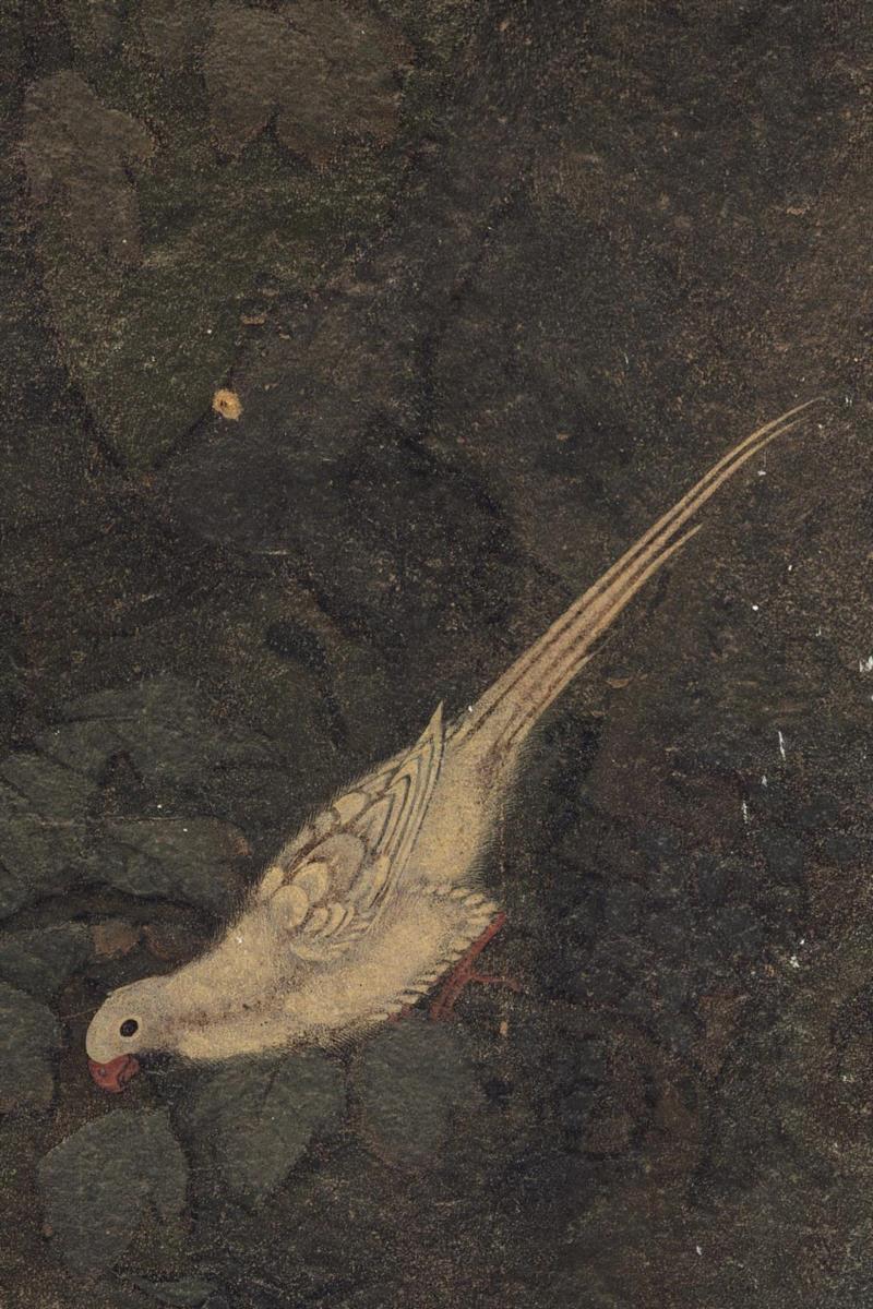 鹦鹉位于水月观音像左上部。佛经中关于鹦鹉传说较多，如阿弥陀佛化为鹦鹉教化国人，再如山火烧林，鹦鹉思林