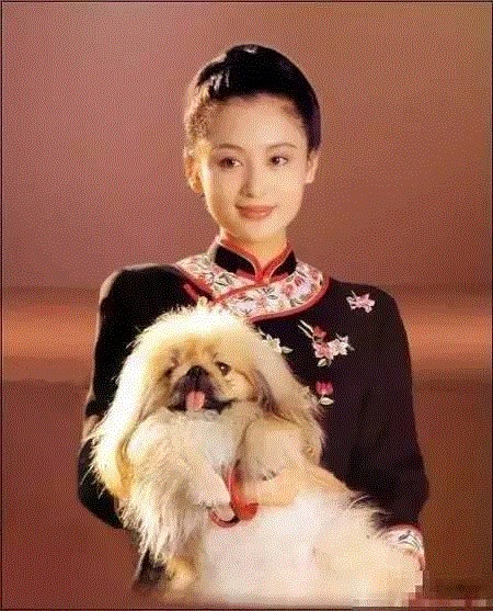 23年前葛优与张国荣的一张合照，中间的女人惊艳了一个时代,葛优,张国荣,合照,中间,陈红,陈凯歌,制片人,演员,电影,剧组