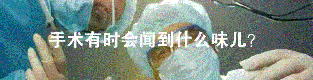 换头狂人卡纳韦洛,卡纳,韦洛,狂人,斯皮里多诺夫,头颅,医生,头部,脊髓,脑袋,躯体