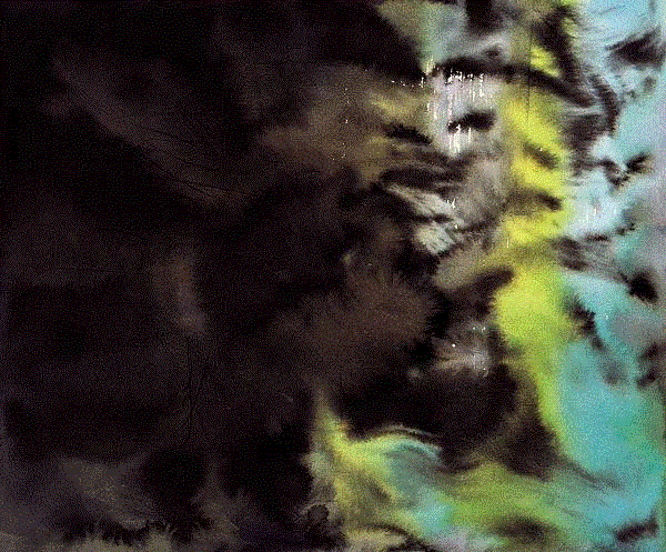 夏月系列之二十一 诗迪 46x55cm&nbsp;,中国百年水彩精品,水彩,静物,人体,雨后,香港,晨光,西湖,梁文亮,范保文,初春