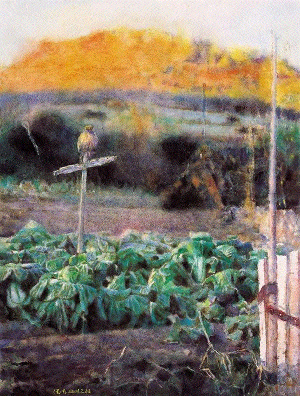 白菜地 侯伟 67x51cm&nbsp;,中国百年水彩精品,水彩,静物,人体,雨后,香港,晨光,西湖,梁文亮,范保文,初春