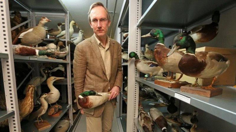 生物学家吉斯·莫伊里克。图源：Spiegel,面对野鸭的性暴力，有人终于受不了了,野鸭,性暴力,莫伊里克,鸭子,图源,同性,阴茎,同性恋,绿头鸭,利维坦