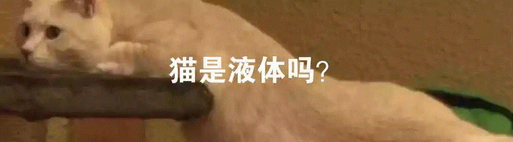 面对野鸭的性暴力，有人终于受不了了,野鸭,性暴力,莫伊里克,鸭子,图源,同性,阴茎,同性恋,绿头鸭,利维坦