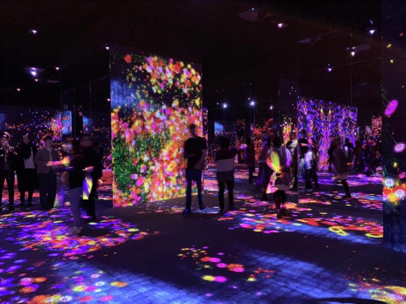 另一个集体活动是参观正在台场举行的TeamLab大展，在这个两层楼数千平方米的展场里，可谓是这个红遍