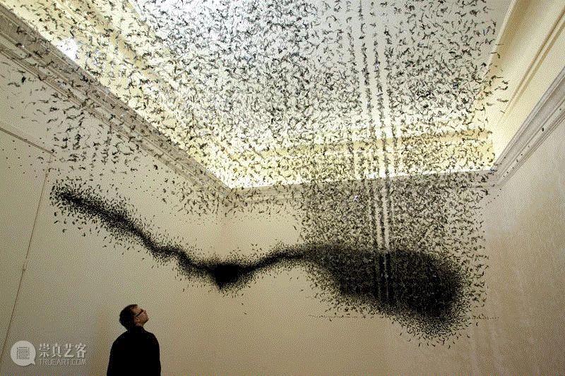 L′EFFET CHARCOT，2010, Maison de l′Amerique Latine,