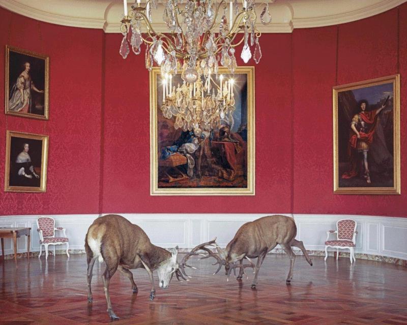 凯伦·诺尔，国王会客厅[香波堡]，选自《寓言2》系列，2003-08&nbsp; &nbsp; &n