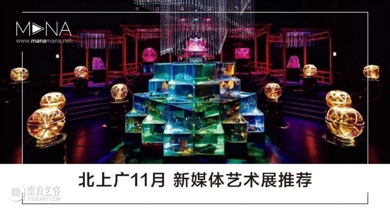 可能引起不适，慎入！“毒液”,毒液,雕塑,铁磁流体,材料,新媒体,Mespl,骷髅头,Eric,装置,观察者