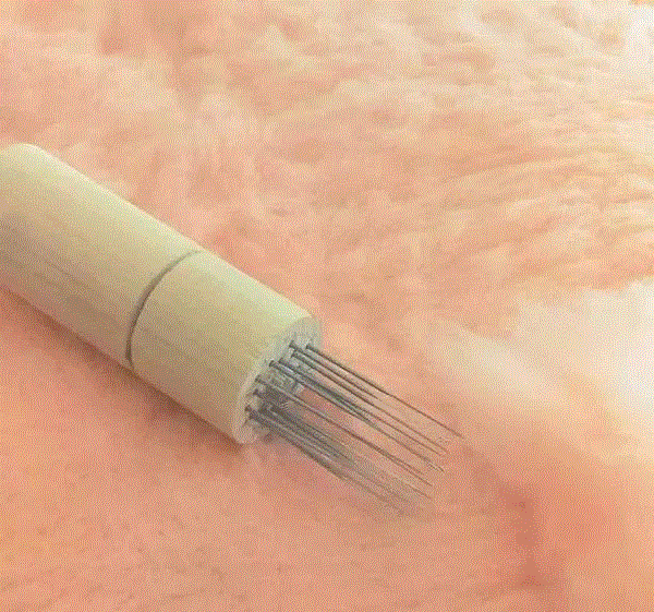 工艺丨最爱薅羊毛的艺术家,工艺,薅羊毛,Paolo,木雕,Toro,毛毡,保罗,德尔,托罗,美国宾夕法尼亚州