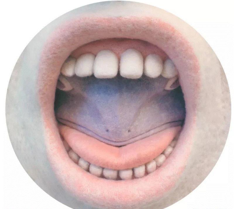 工艺丨最爱薅羊毛的艺术家,工艺,薅羊毛,Paolo,木雕,Toro,毛毡,保罗,德尔,托罗,美国宾夕法尼亚州