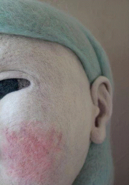 工艺丨最爱薅羊毛的艺术家,工艺,薅羊毛,Paolo,木雕,Toro,毛毡,保罗,德尔,托罗,美国宾夕法尼亚州