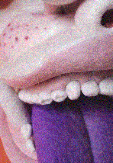 工艺丨最爱薅羊毛的艺术家,工艺,薅羊毛,Paolo,木雕,Toro,毛毡,保罗,德尔,托罗,美国宾夕法尼亚州