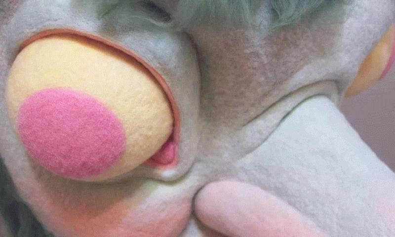 工艺丨最爱薅羊毛的艺术家,工艺,薅羊毛,Paolo,木雕,Toro,毛毡,保罗,德尔,托罗,美国宾夕法尼亚州