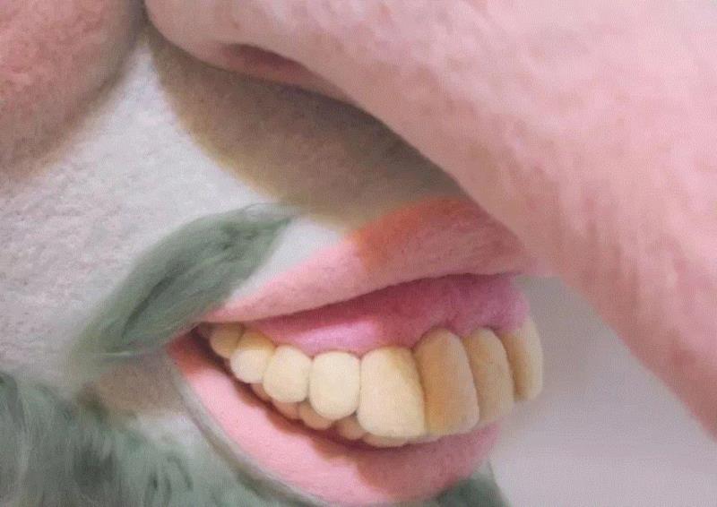 工艺丨最爱薅羊毛的艺术家,工艺,薅羊毛,Paolo,木雕,Toro,毛毡,保罗,德尔,托罗,美国宾夕法尼亚州