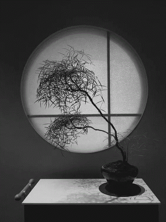游 圆 惊 梦,浑全,原型,园林,漏景,框景,万物,诗性,宇宙,秘密,诗性艺