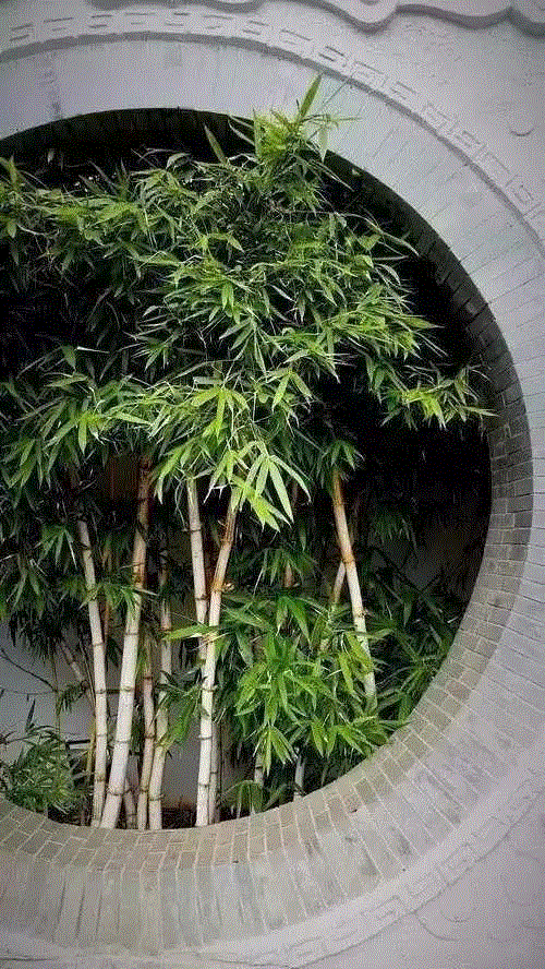 游 圆 惊 梦,浑全,原型,园林,漏景,框景,万物,诗性,宇宙,秘密,诗性艺