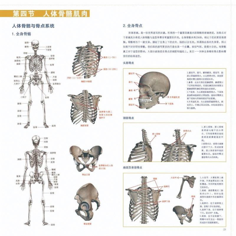 掌握了正确的练习方法，还愁画不好速写？,黄胜斌,小志,书籍,思路,知识点,黄老师,同学们,人物,高手,市面上