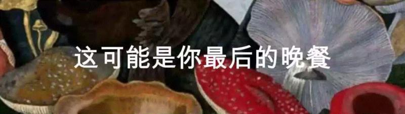 这个星球神秘蘑菇图鉴,蘑菇,星球,图鉴,图源,真菌,孢子,子实体,菌类,凯奇,白色