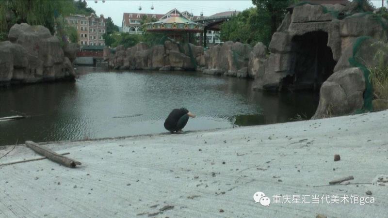 【GCA国际艺术家工作坊】《当媒介成为日常- Questioning Photography Now》艺术家推介 第II期,GCA,工作坊,媒介,第II期,重庆,当代美术馆,装置,胡宸宇,唐潮,秩序