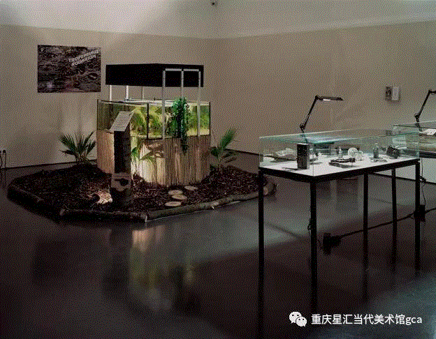 【GCA国际艺术家工作坊】《当媒介成为日常- Questioning Photography Now》艺术家推介 第II期,GCA,工作坊,媒介,第II期,重庆,当代美术馆,装置,胡宸宇,唐潮,秩序
