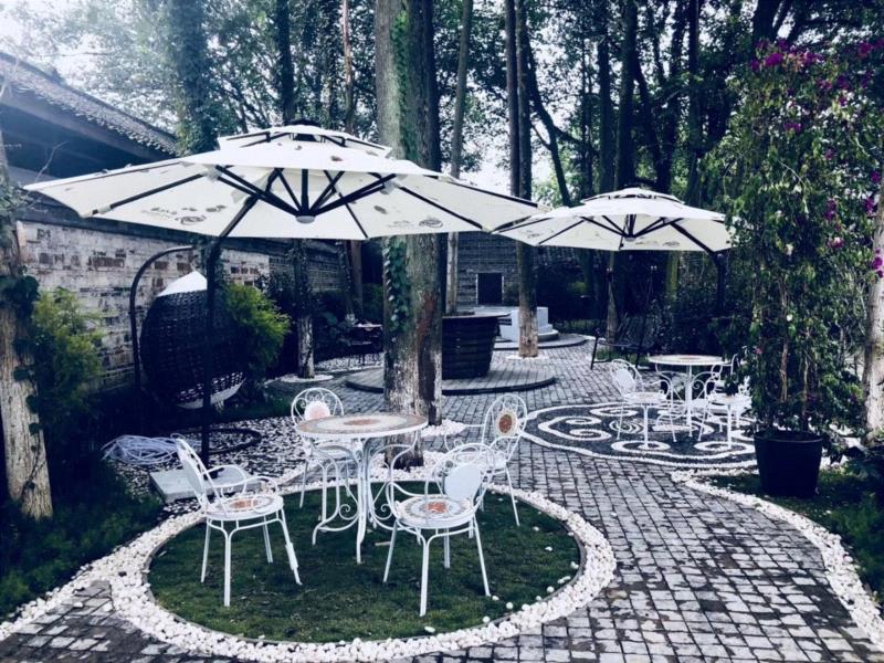 越过时光，遇见民国咖啡,民国,安仁,咖啡馆,咖啡豆,博物馆,企业,小店,咖啡器具,装置,安仁君