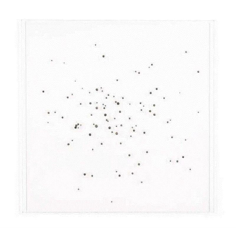 铁砂的痕迹学研究1号,Tabula Rasa 画廊 |  展览介绍之 程新皓 @“‘工作’ 来自5位艺术家的实践”,程新皓,Rasa,Tabula,莽人,银元,策略,族群,边界,工作展,越南