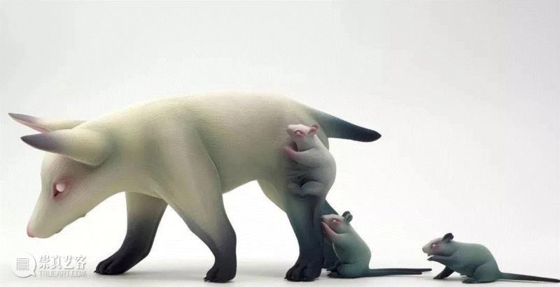 Erika Sanada早期的灵感源于恐怖电影的生物和角色。2009年，她在东京日本大学艺术学院获得