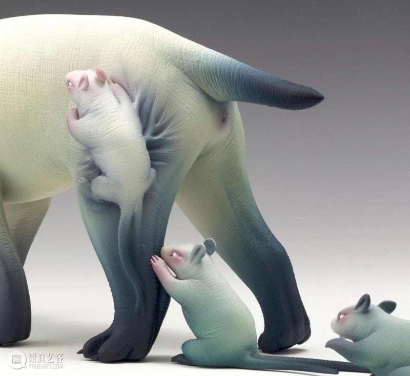 Erika Sanada早期的灵感源于恐怖电影的生物和角色。2009年，她在东京日本大学艺术学院获得