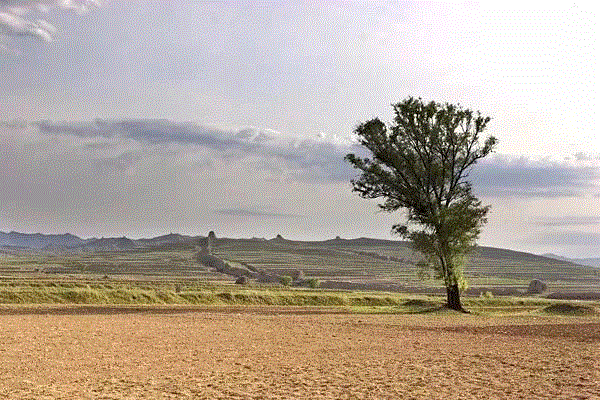 游学丨长城内外的山西：河北蔚县、山西大同（10月26日—10月28日）,蔚县,河北,游学,长城内外,山西,山西大同,天齐庙,文物,玉皇阁,云林寺