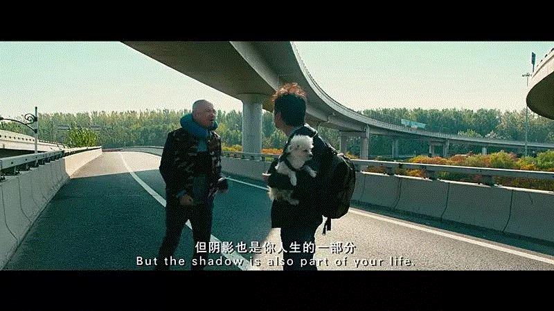 50句惊艳世人的电影台词：请原谅我戳痛了你所有记忆,电影,记忆,台词,一个人,勇气,世上,罪过,悲剧,阴影,小孩