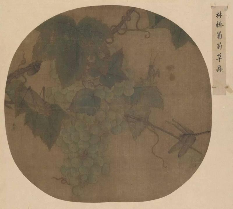 林椿 《葡萄草虫图》,100首宋词，100幅宋画，简直绝配,宋词,苏轼,辛弃疾,李清照,鹧鸪天,马远,卜算子,欧阳修,陆游,柳永
