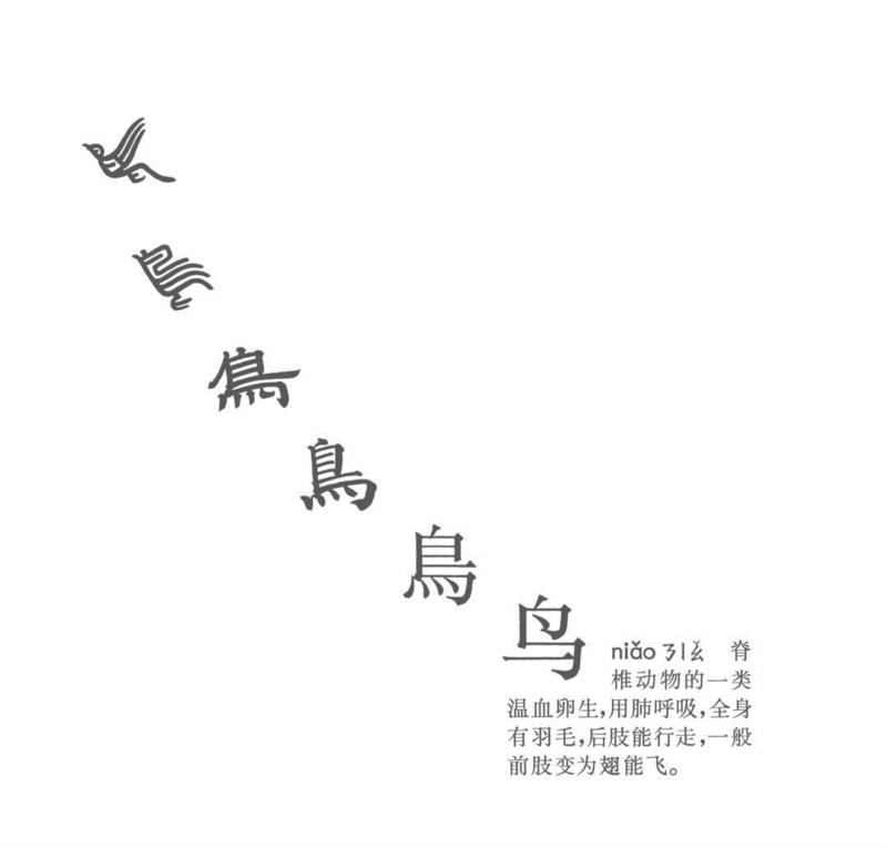 解读《鸟飞了》｜墨斋画廊徐冰个展将于本周日闭幕,徐冰,鸟飞了,｜墨斋画廊,符号,装置,材料,象形,亚克力,汉字,Bing