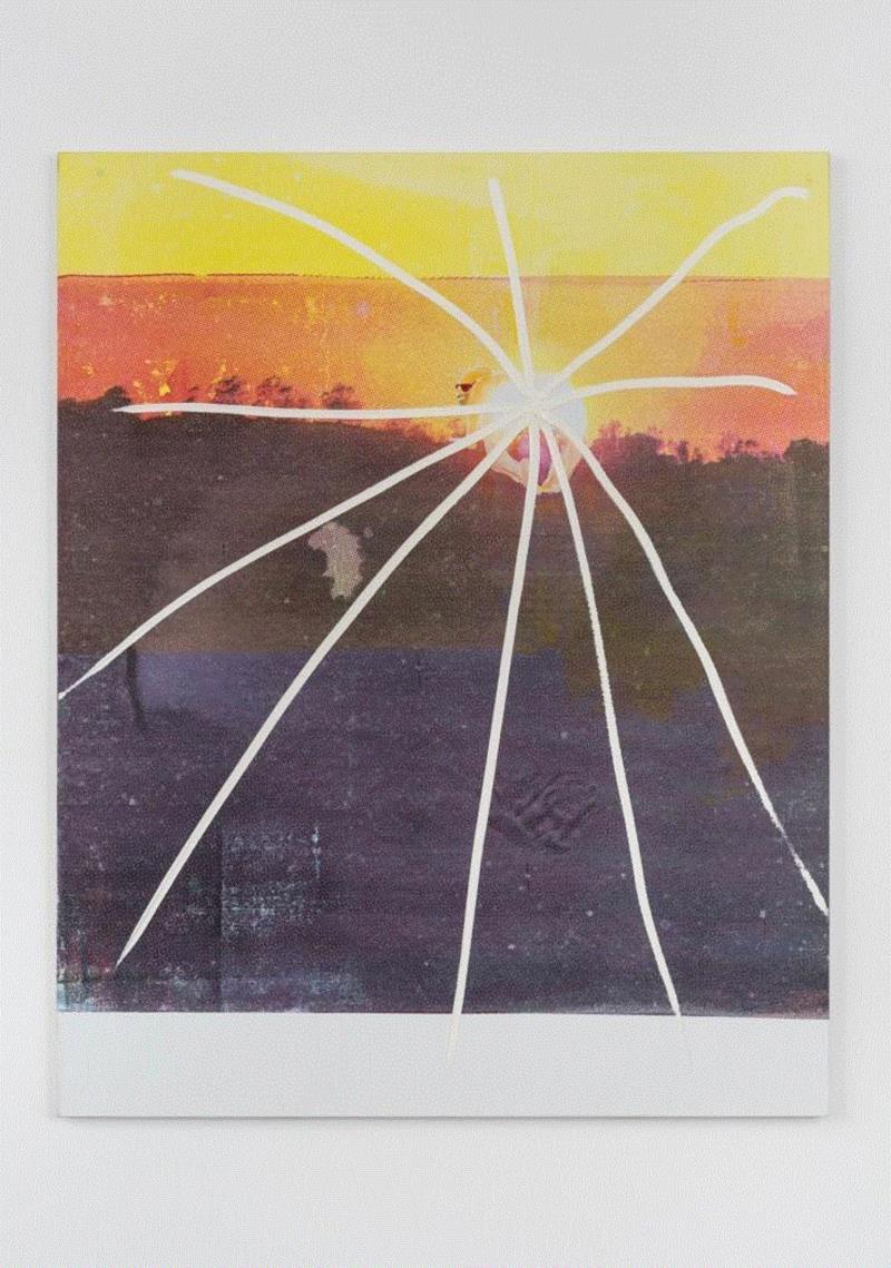 Tala Madani, Expressed Sun, 亚麻布上油画及丝网 Oil and silk