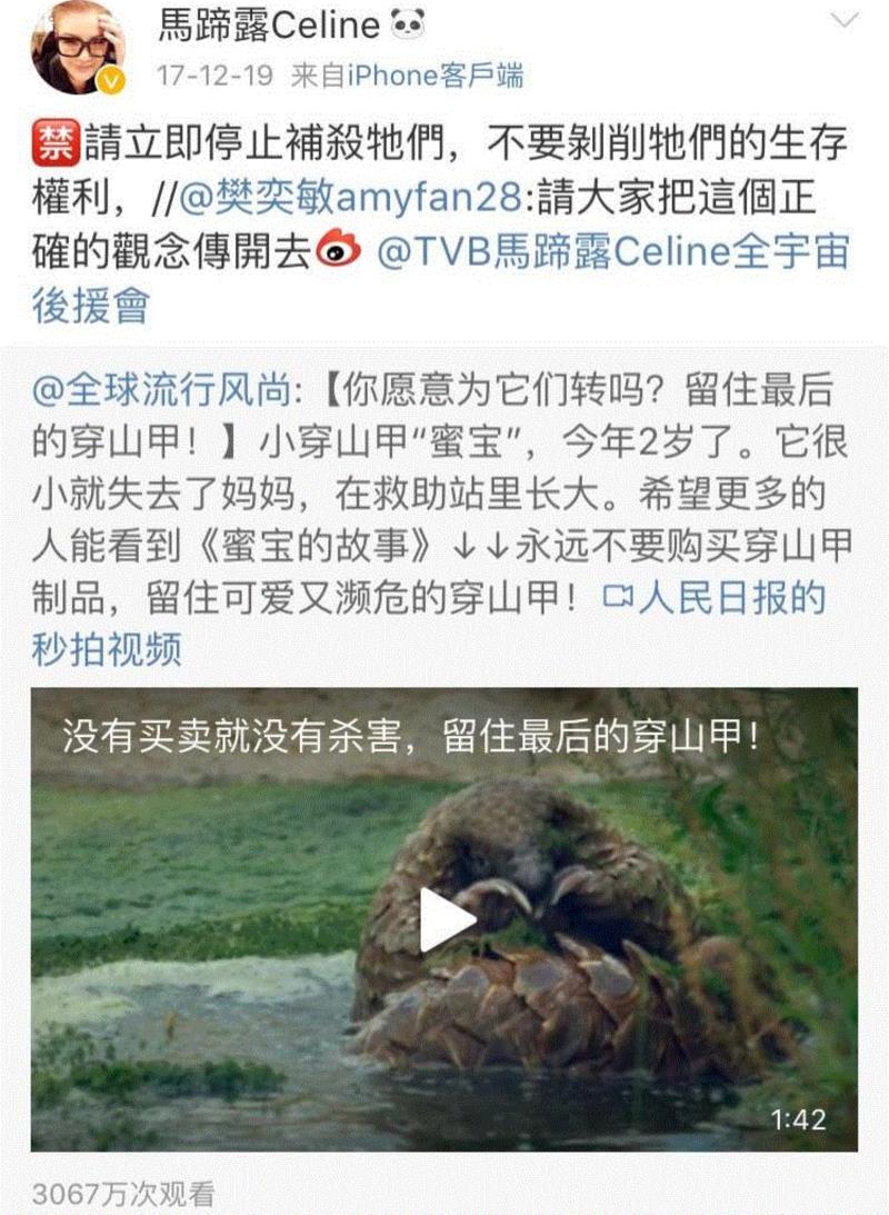 人物 ▎她是TVB“最丑”女星，买不起房却捐了一所学校：真正的美是不动声色,TVB,女星,人物,马蹄露,丑角,穿山甲,身材,坏人,爸爸,曾志伟