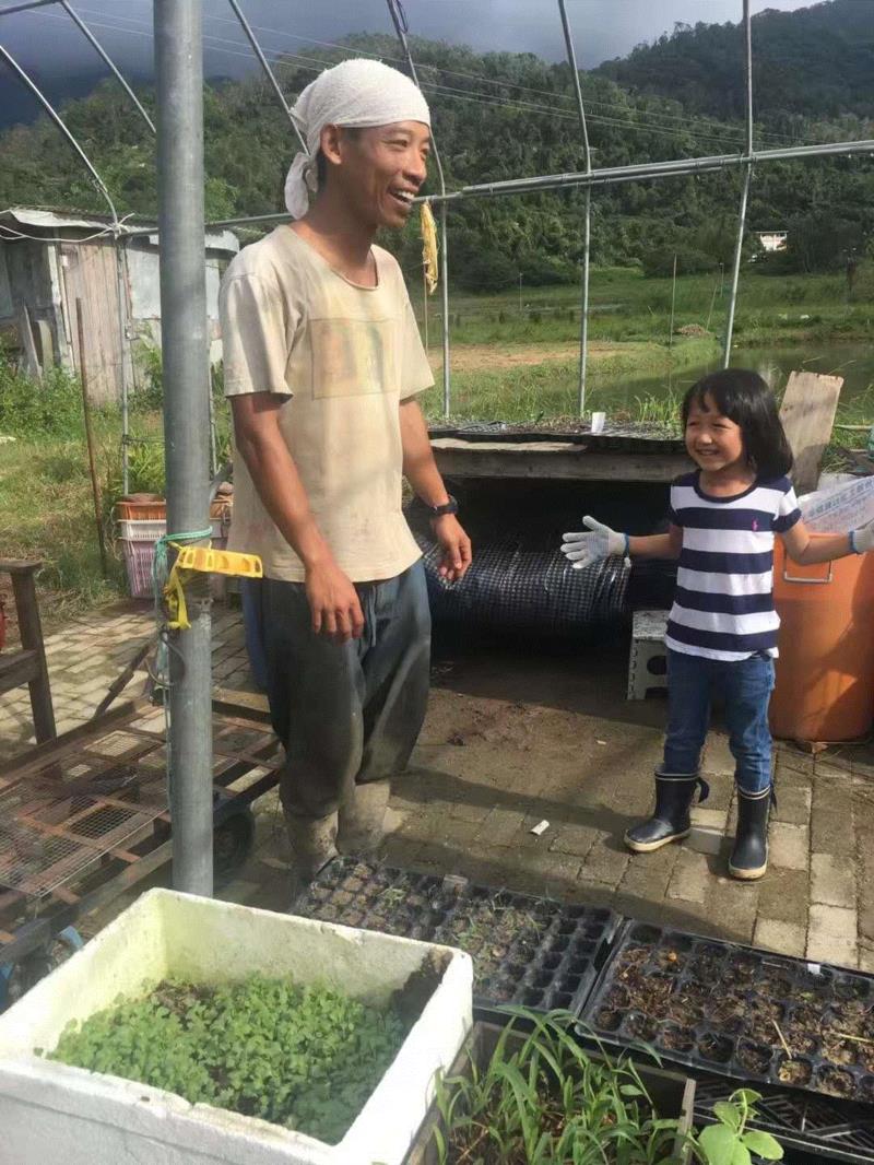 【艺术家】劳丽丽手记：由山竹提供的疗伤胶布,胶布,山竹,疗伤,手记,劳丽丽,台风,香港,农田,铁皮,白色