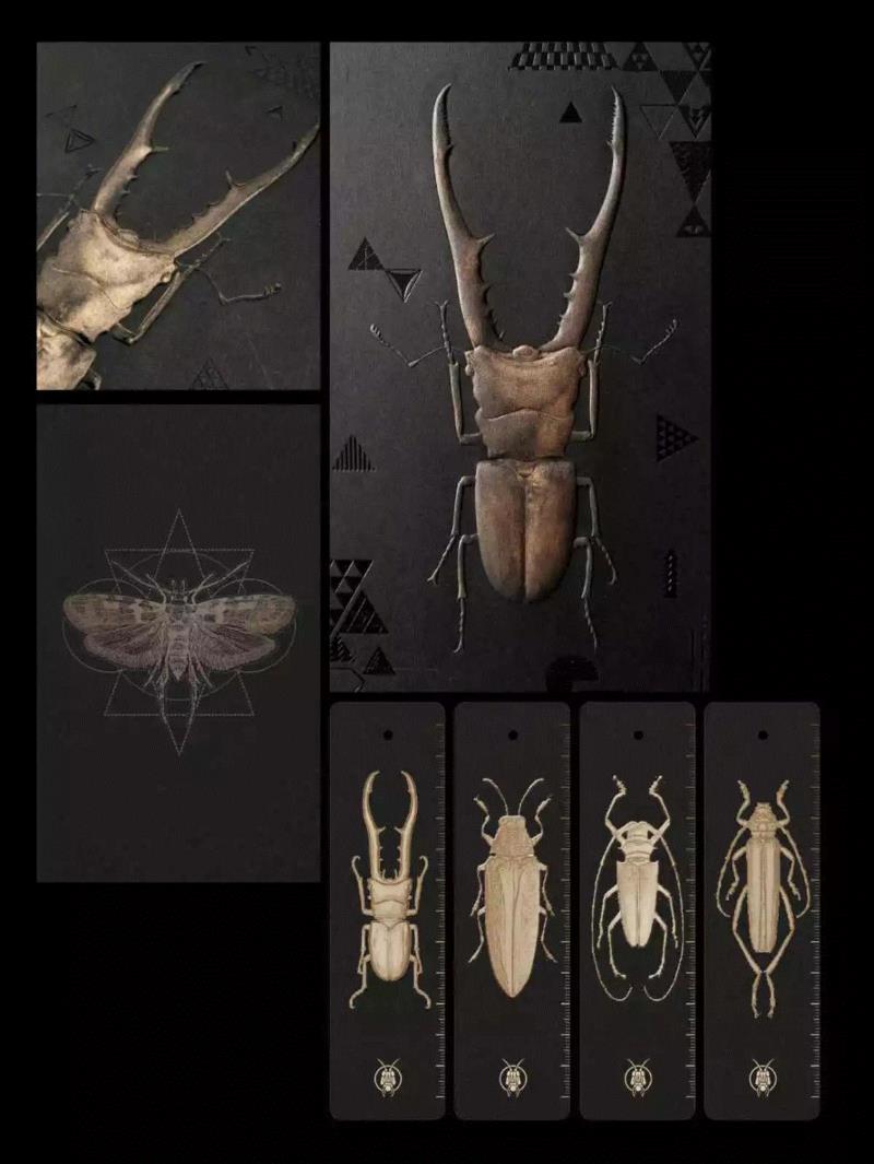 如何养一只巨型昆虫做宠物？,宠物,昆虫,拉米,图源,勒罗伊,生物,罗奇,螳螂,非洲,竹节虫
