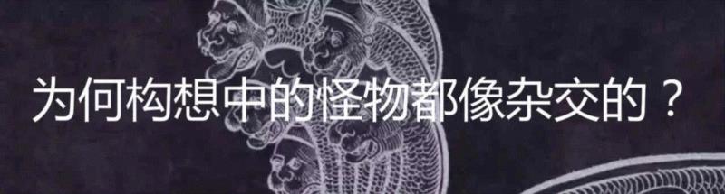 如何养一只巨型昆虫做宠物？,宠物,昆虫,拉米,图源,勒罗伊,生物,罗奇,螳螂,非洲,竹节虫