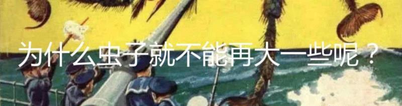 如何养一只巨型昆虫做宠物？,宠物,昆虫,拉米,图源,勒罗伊,生物,罗奇,螳螂,非洲,竹节虫