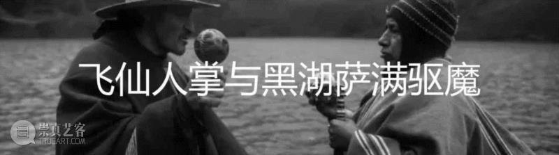 电影是怎么污名化精神疾病的?,电影,图源,疯子,疯癫,莱茵,精神病,精神病院,医院,女性,传记片